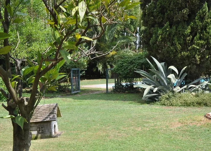 Luxury - Appia Antica Villa