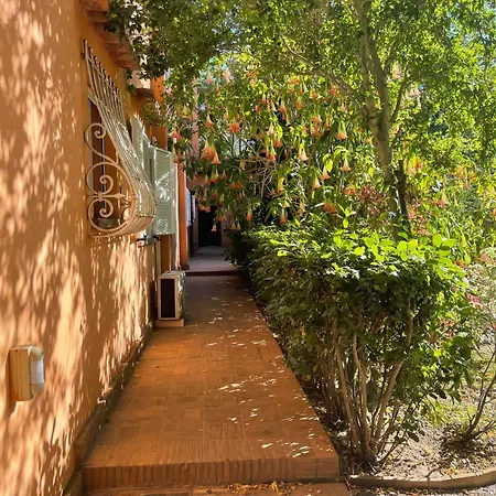 Luxury - Appia Antica *