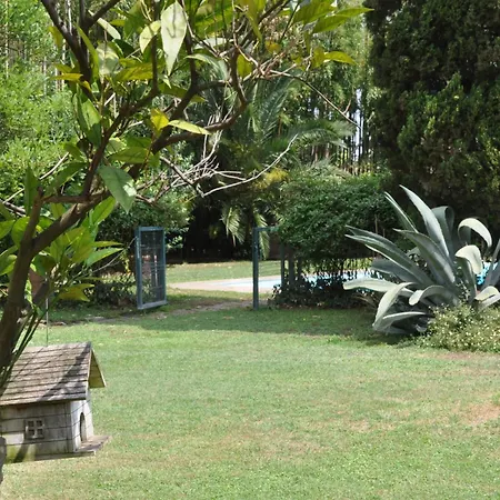 Luxury - Appia Antica Vila