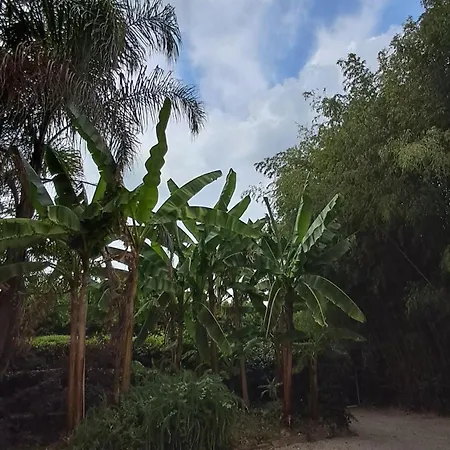 Villa Luxury - Appia Antica *