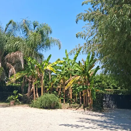 Luxury - Appia Antica Roma