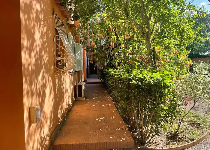 Luxury - Appia Antica *