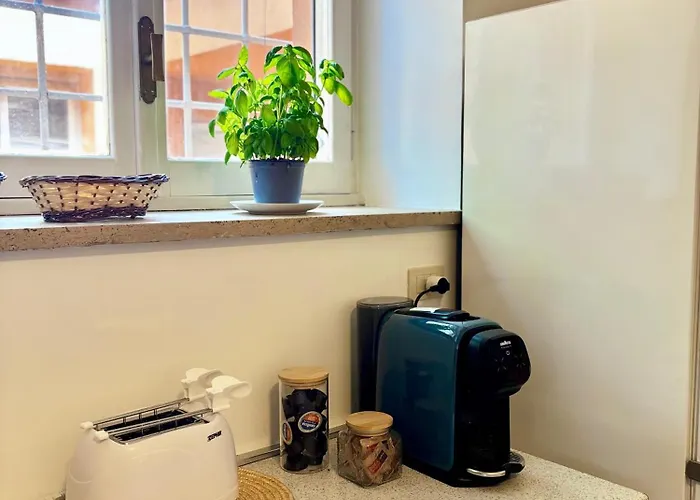 Villa Luxury - Appia Antica