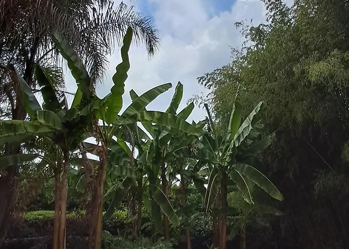 Villa Luxury - Appia Antica *