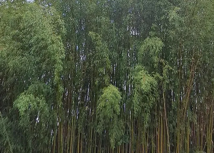 Luxury - Appia Antica Villa Roma