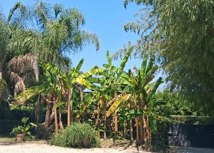 Luxury - Appia Antica Roma