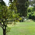 Luxury - Appia Antica